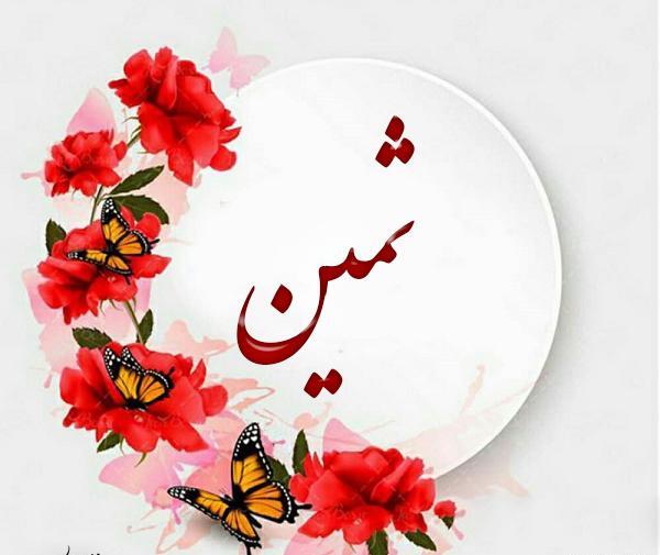 عکس تولد ثمین