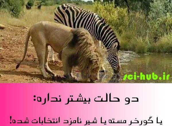 عکس شیر طنز