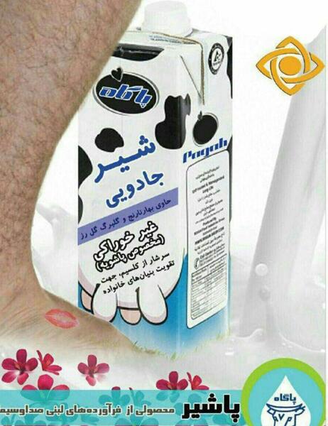 عکس شیر طنز