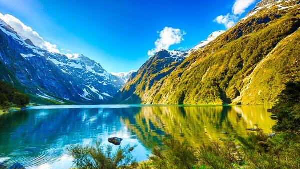 عکس تصاویر زیبای طبیعت نیوزلند