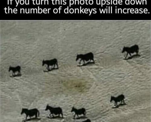 عکس برعکس کن