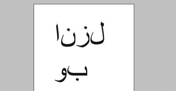 عکس برعکس کن