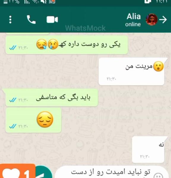 عکس چت مرینت و الیا