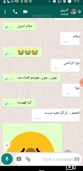 عکس چت مرینت و الیا