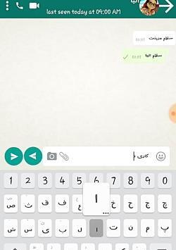 عکس چت مرینت و الیا