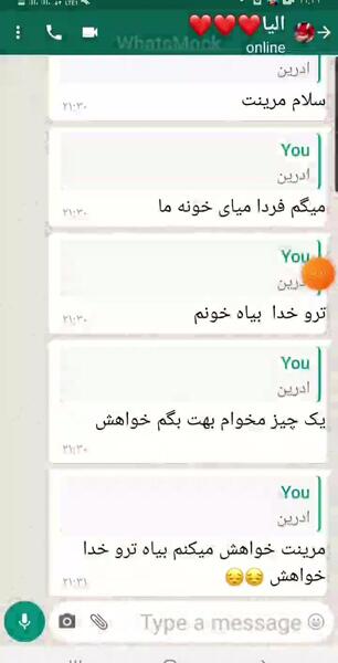عکس چت مرینت و الیا