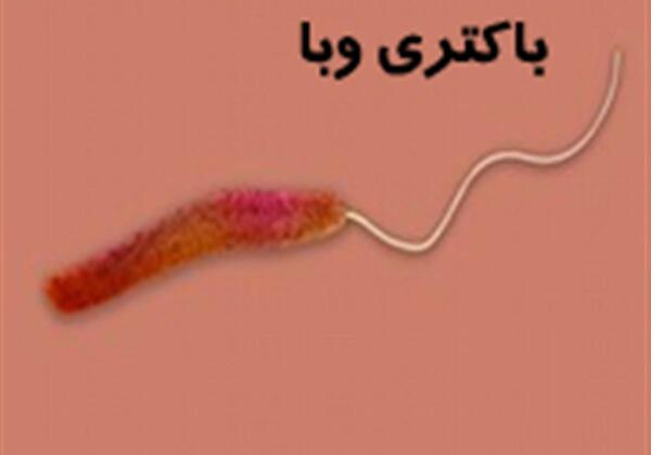 عکس از ویروس وبا