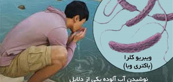عکس از ویروس وبا