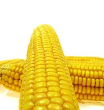 عکس ذرت سبزیجات