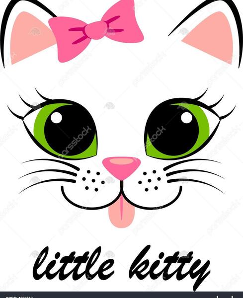 عکس گربه دخترانه