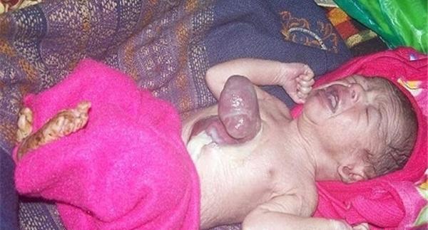 عکس قلب گرفته
