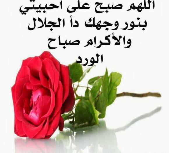 عکس نوشته صبح بخیر عاشقانه عربی