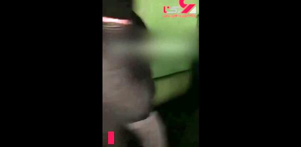 عکس فرفره شاسا