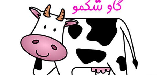 عکس گاو مهربون