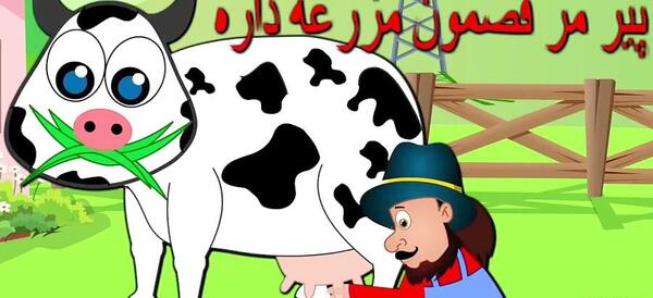 عکس گاو مهربون