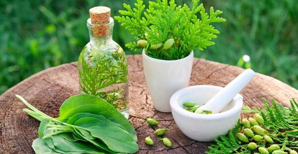 عکس برای پروفایل طب سنتی