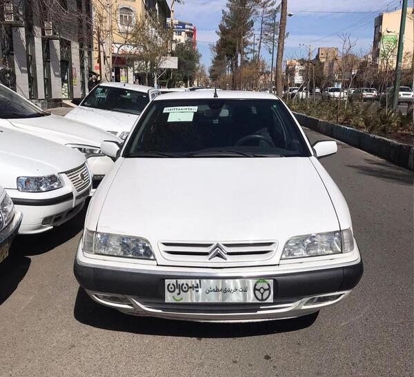 عکس زانتیا سفید