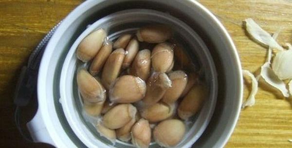عکس کاشت پرتقال