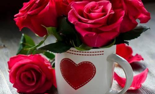 عکس های زیبا جهت پروفایل