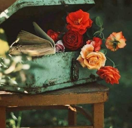 عکس های زیبا جهت پروفایل