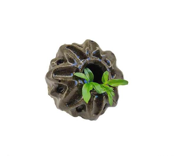 عکس صابون ژله ای