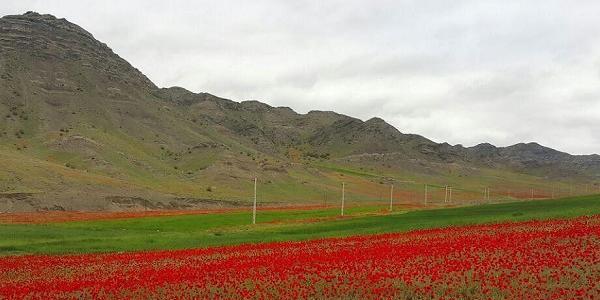 عکس روستای عمارت