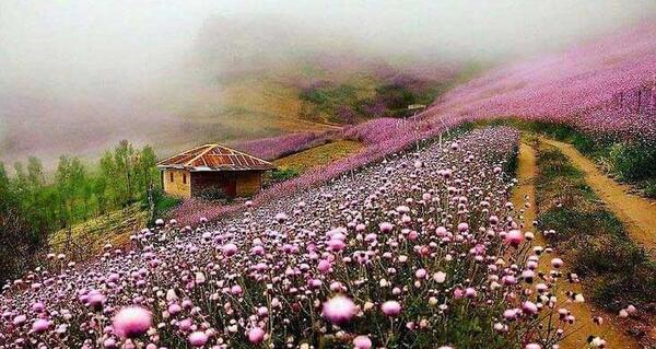 عکس جاهای دیدنی فومن