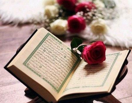 عکس کتاب برای پروفایل واتساپ