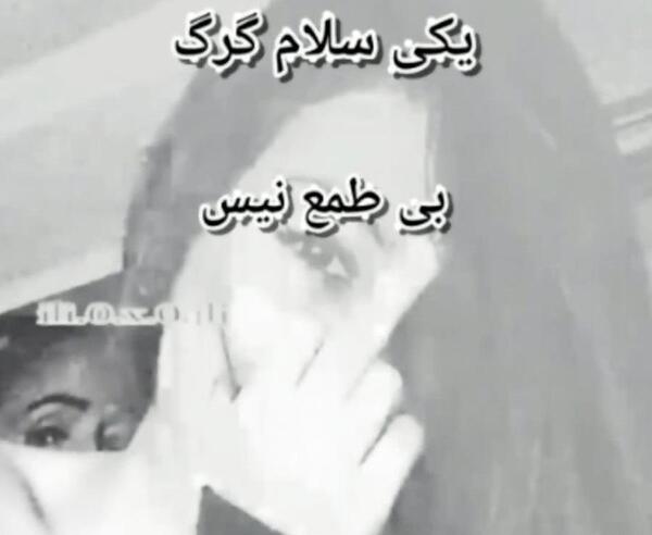 عکس نوشته لاتی و شاخ