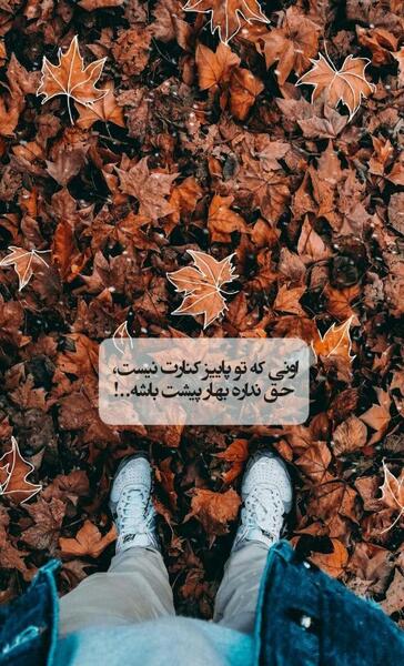 عکس دختر تنها تو پاییز