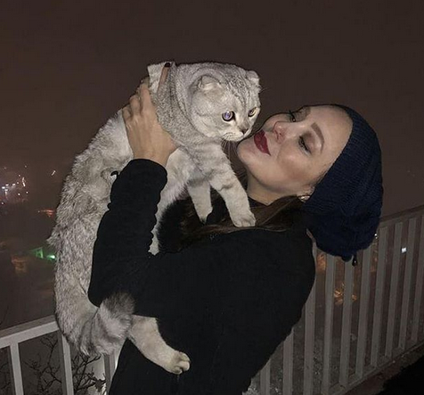 عکس گربه وحشتناک