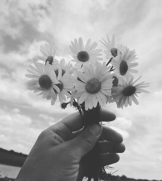 عکس سفید برای پروفایل