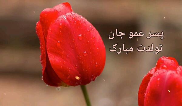 عکس تبریک تولد پسر عمو