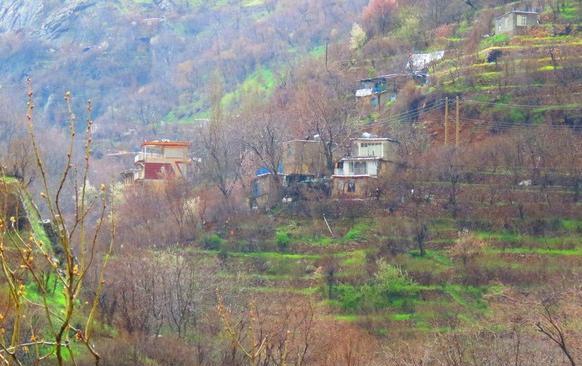 عکس طبیعت نودشه
