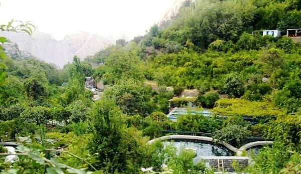 عکس طبیعت نودشه