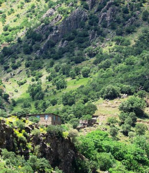 عکس طبیعت نودشه