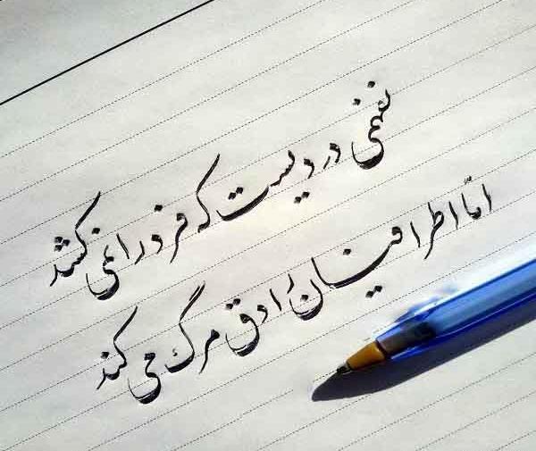 عکس فامیل نفهم