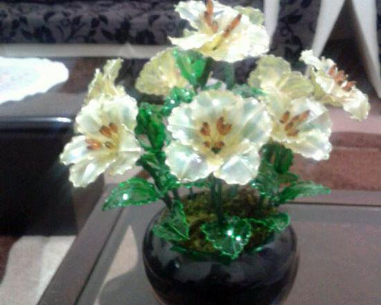 عکس گل های شیشه ای زیبا