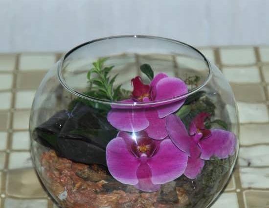 عکس گل های شیشه ای زیبا