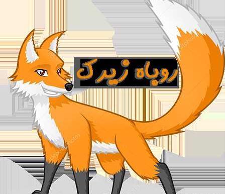 عکس روباه زیرک