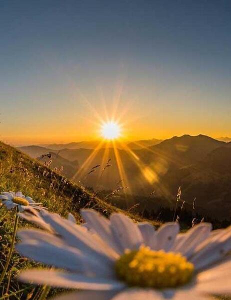 عکس زیبای غروب آفتاب