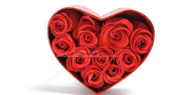 عکس قلب گل عاشقانه