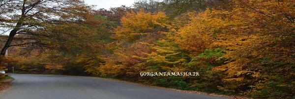 عکس سفر به گرگان