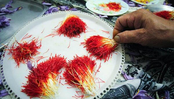 عکس زعفران دسته
