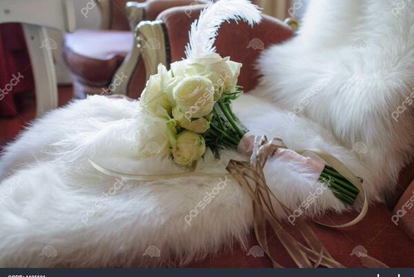 عکس عروسی خز