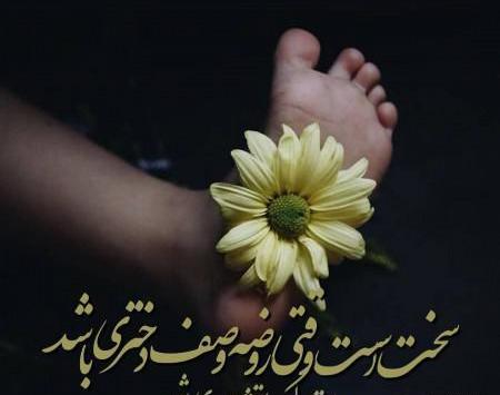 عکس گل محرمی