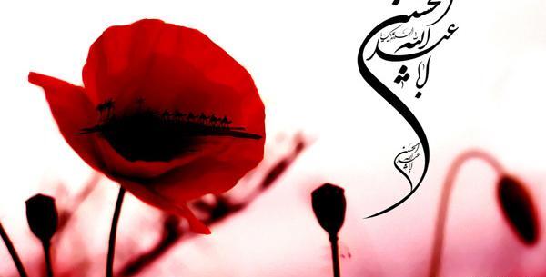 عکس گل محرمی