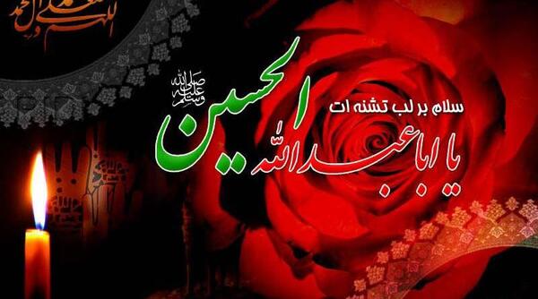 عکس گل محرمی