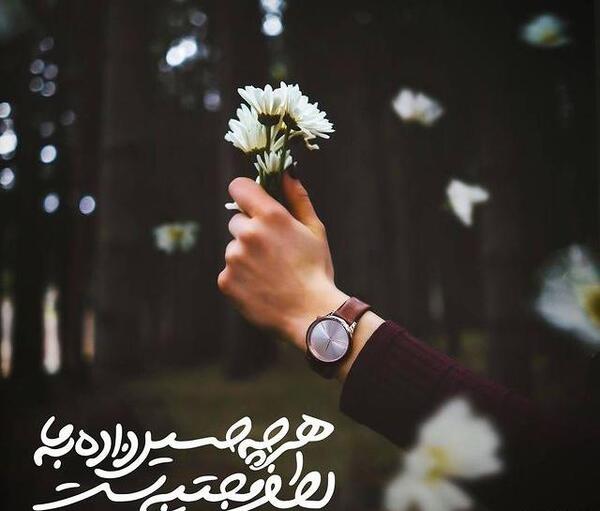 عکس گل محرمی