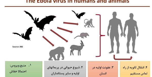 عکس ویروس ابولا